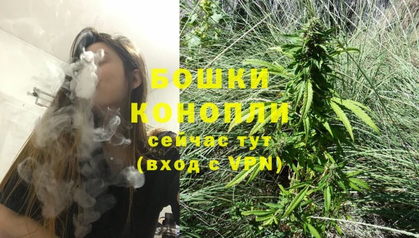гидра Бронницы