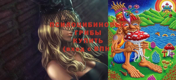 трава Верея