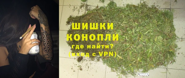 СК Бородино