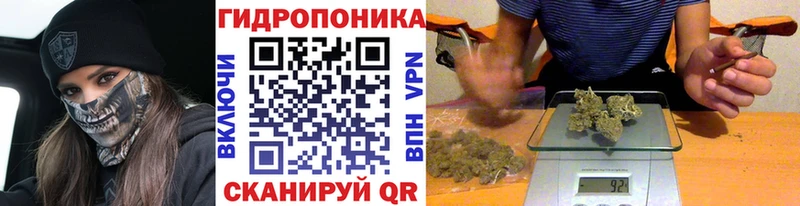 Купить  Нариманов  Шишки марихуана OG Kush 